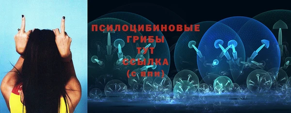 спиды Нефтегорск