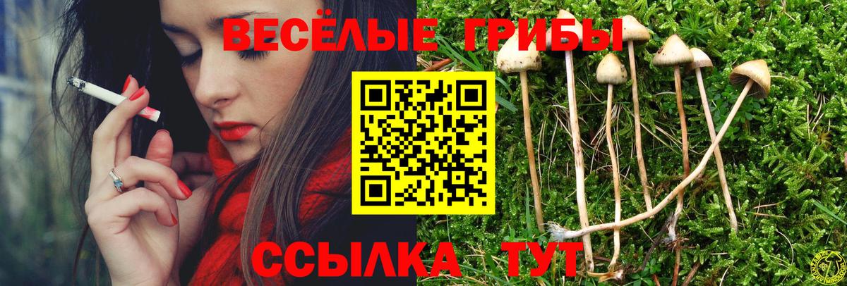 Псилоцибиновые грибы GOLDEN TEACHER Лесозаводск